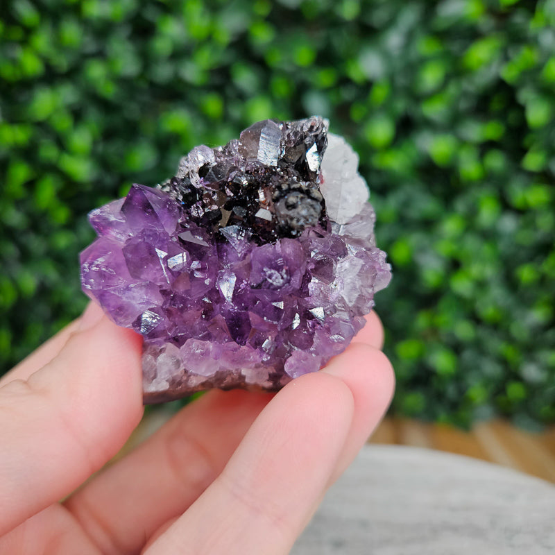 Amethyst with Goethite Freeform