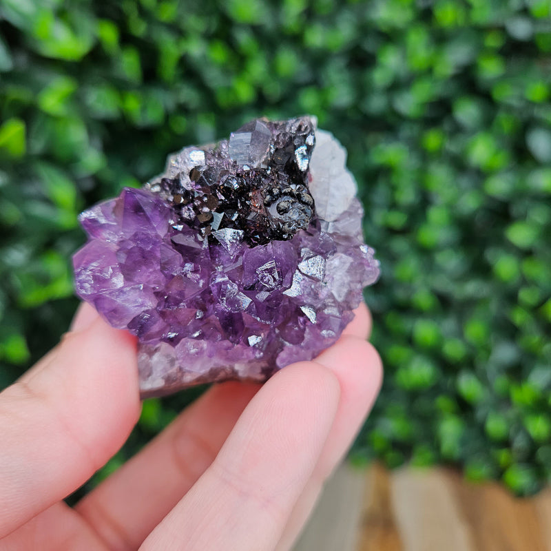 Amethyst with Goethite Freeform