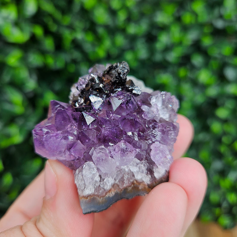 Amethyst with Goethite Freeform