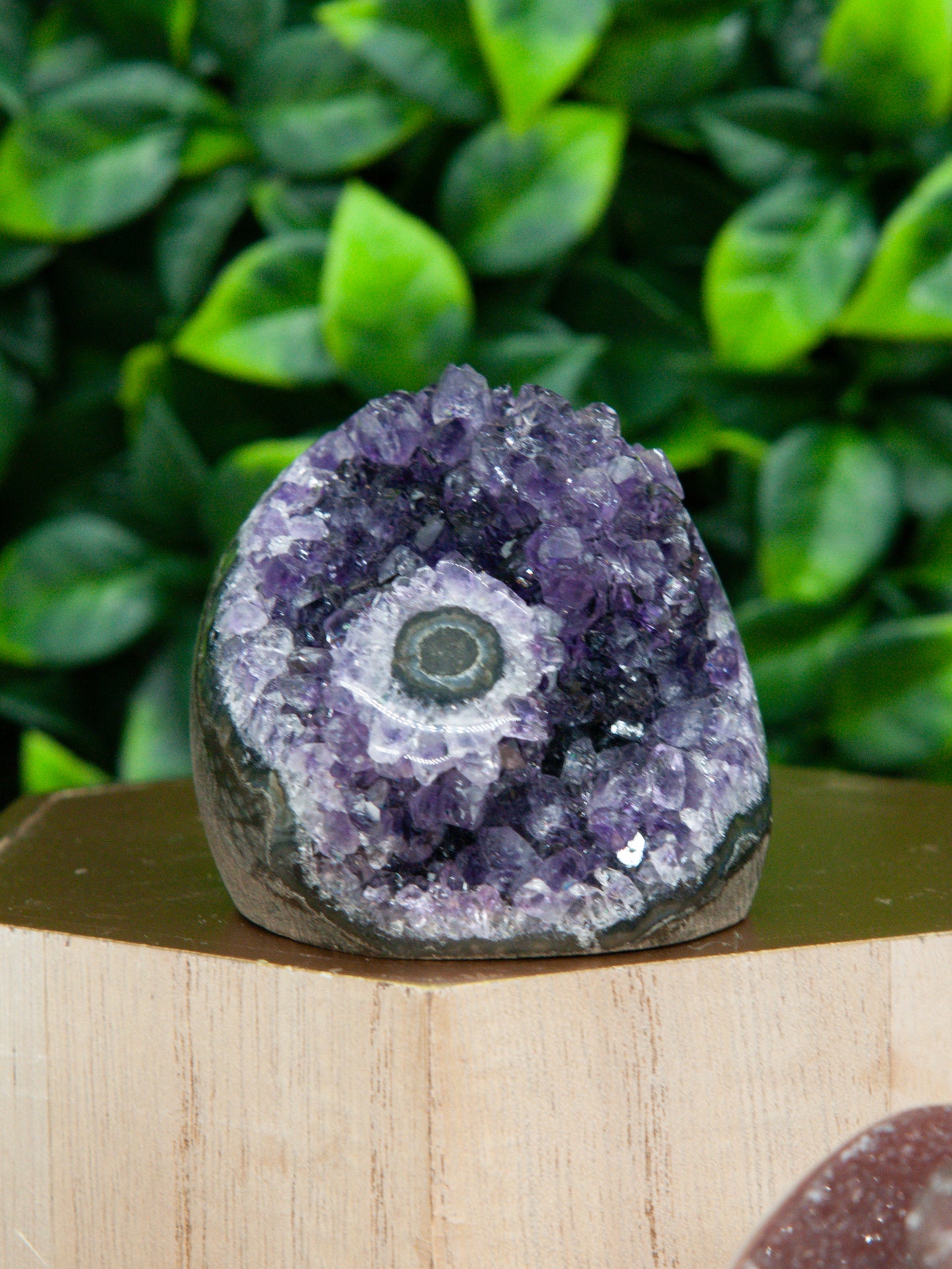 Purple Amethyst Mini Stalactite Eye Cutbase