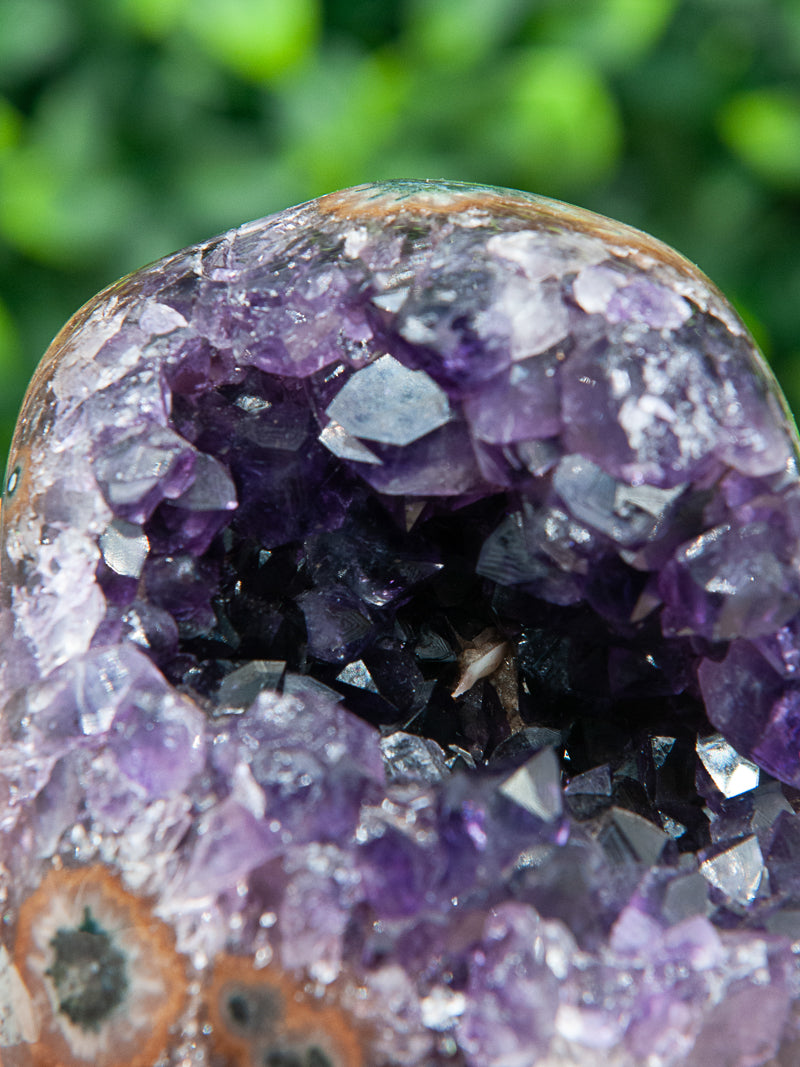 Purple and Brown Amethyst Geode Cutbase