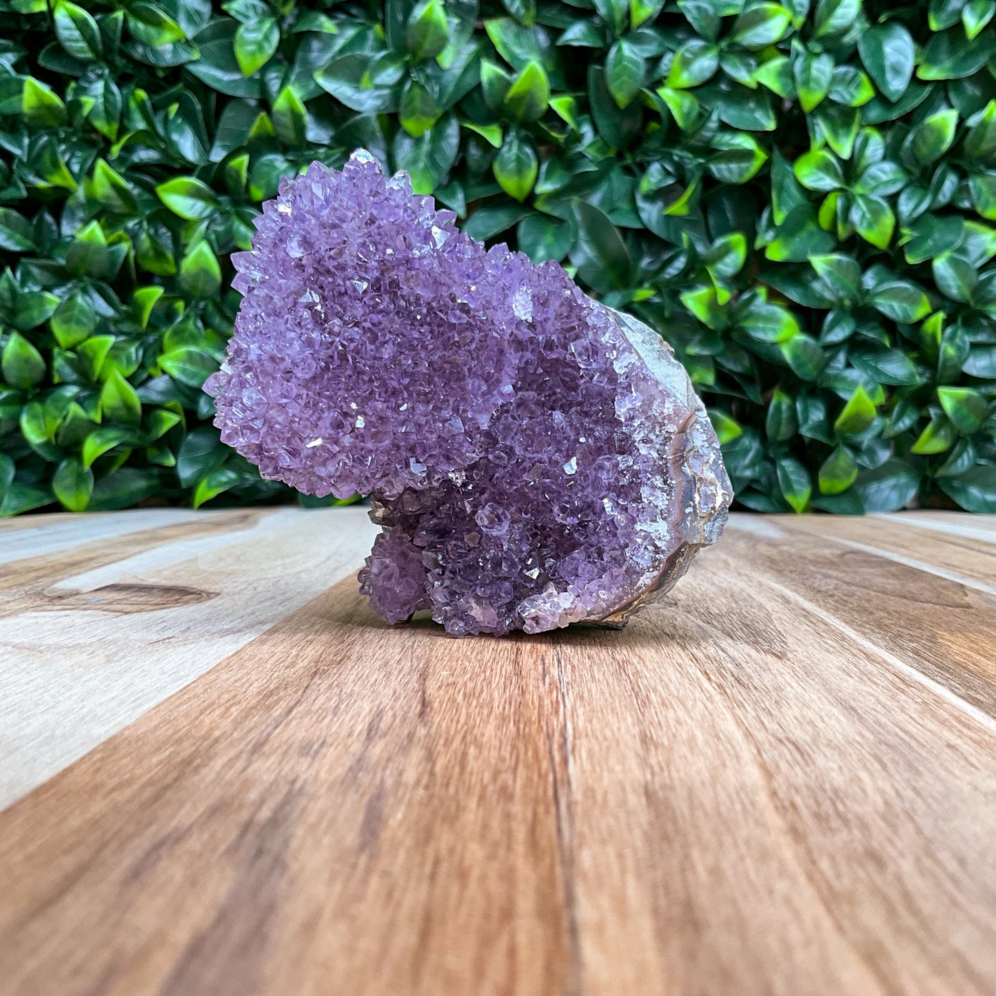 Purple Amethyst Stalactite Freeform