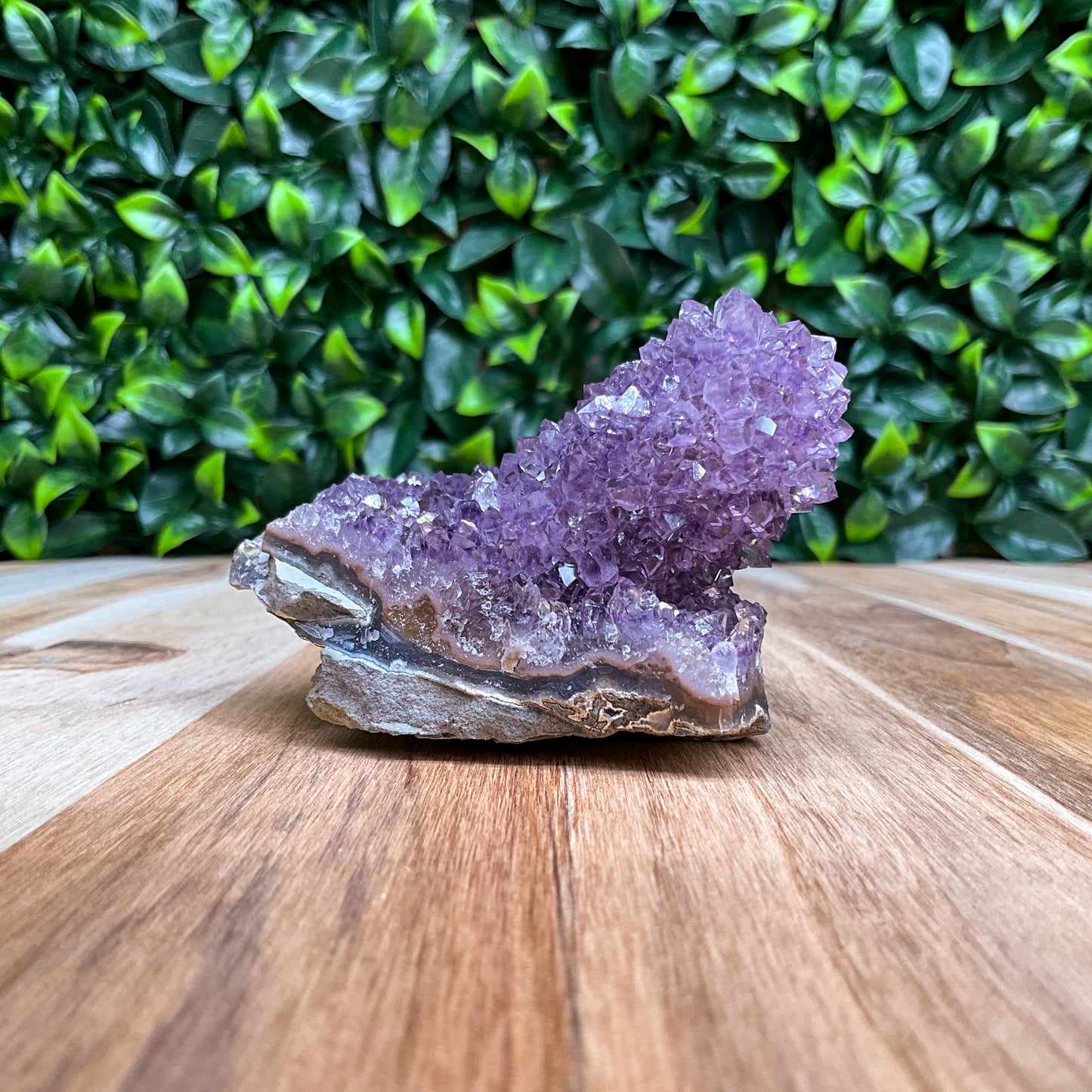 Purple Amethyst Stalactite Freeform