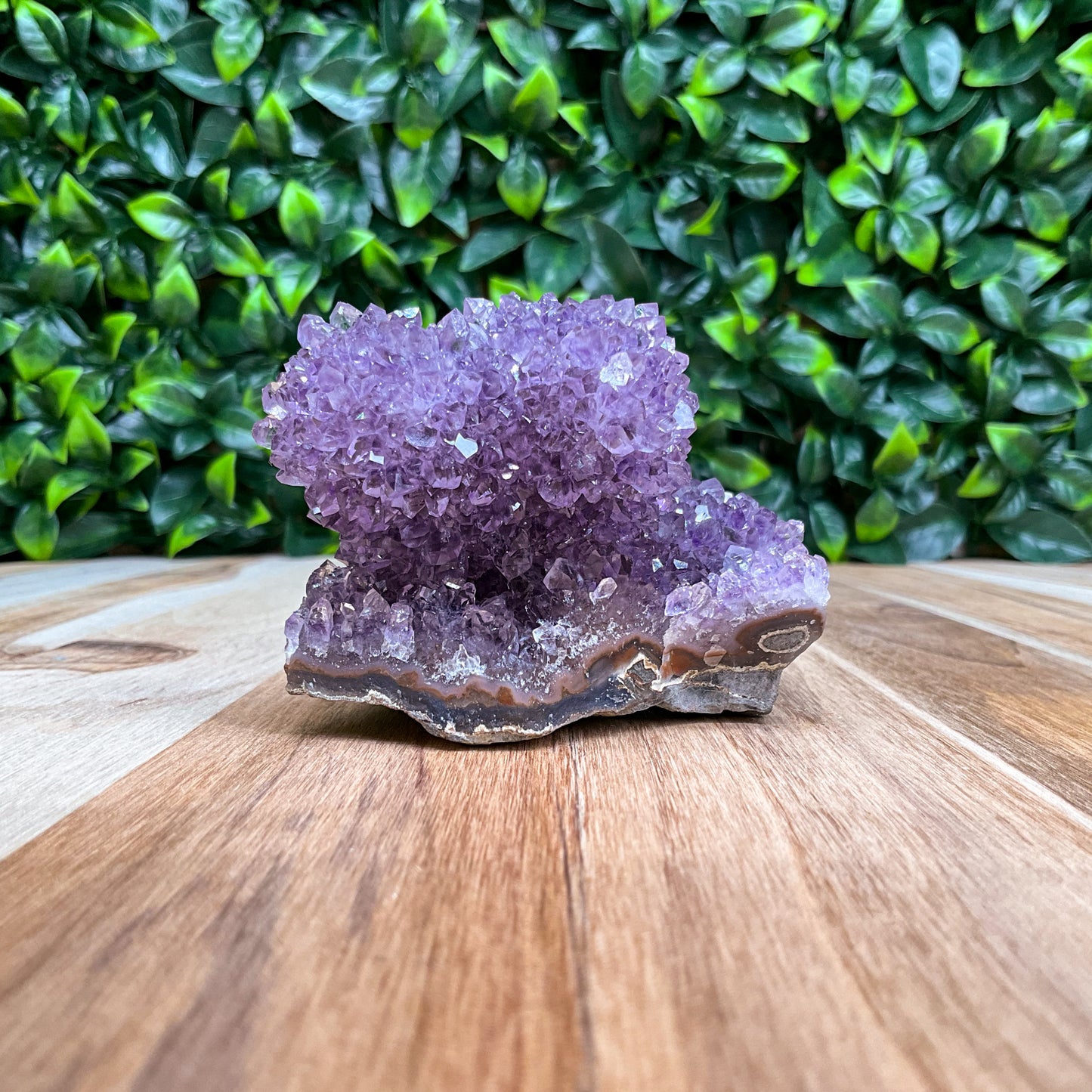 Purple Amethyst Stalactite Freeform