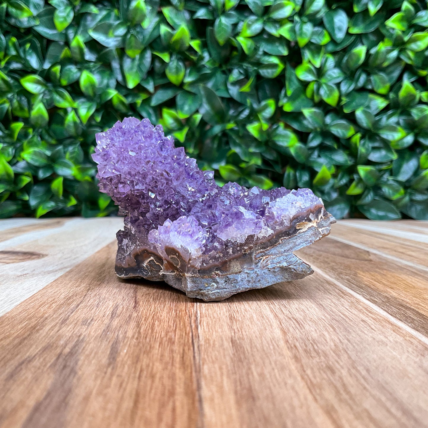 Purple Amethyst Stalactite Freeform