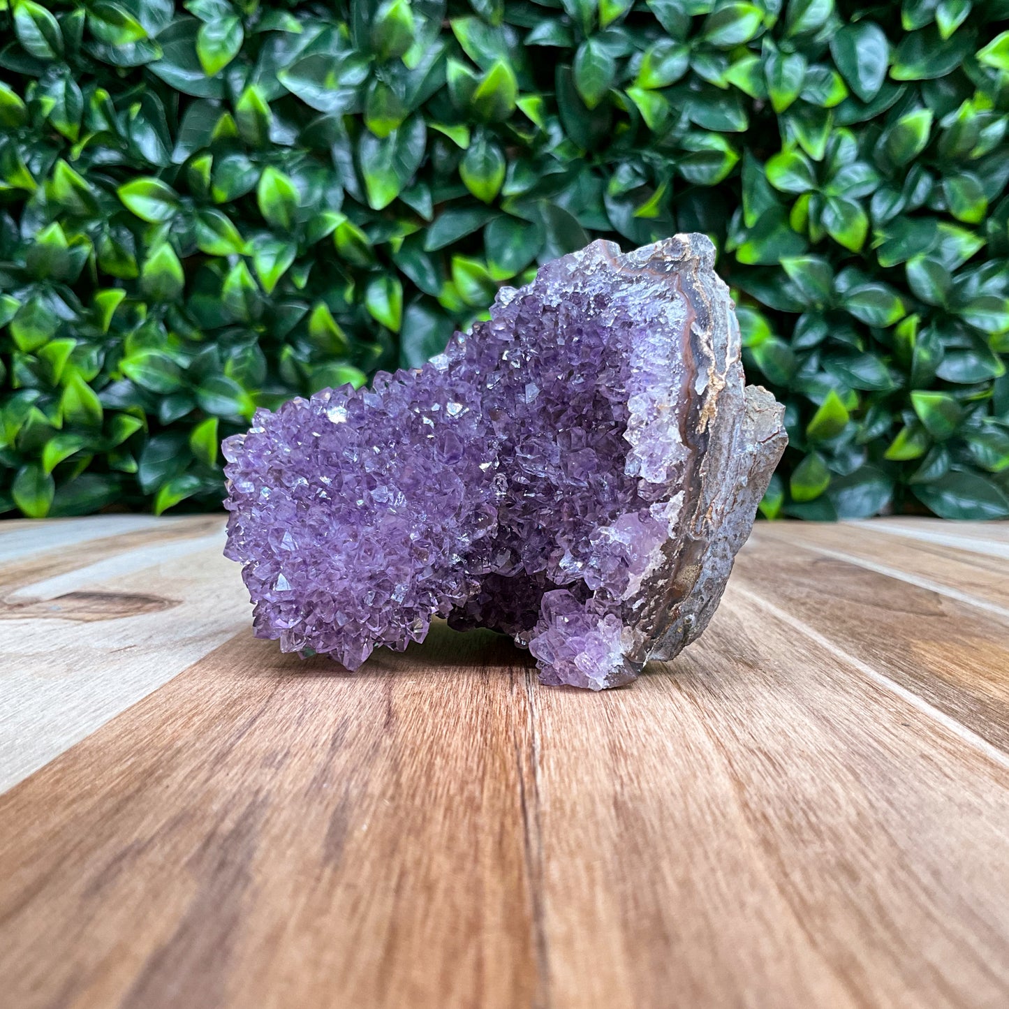 Purple Amethyst Stalactite Freeform