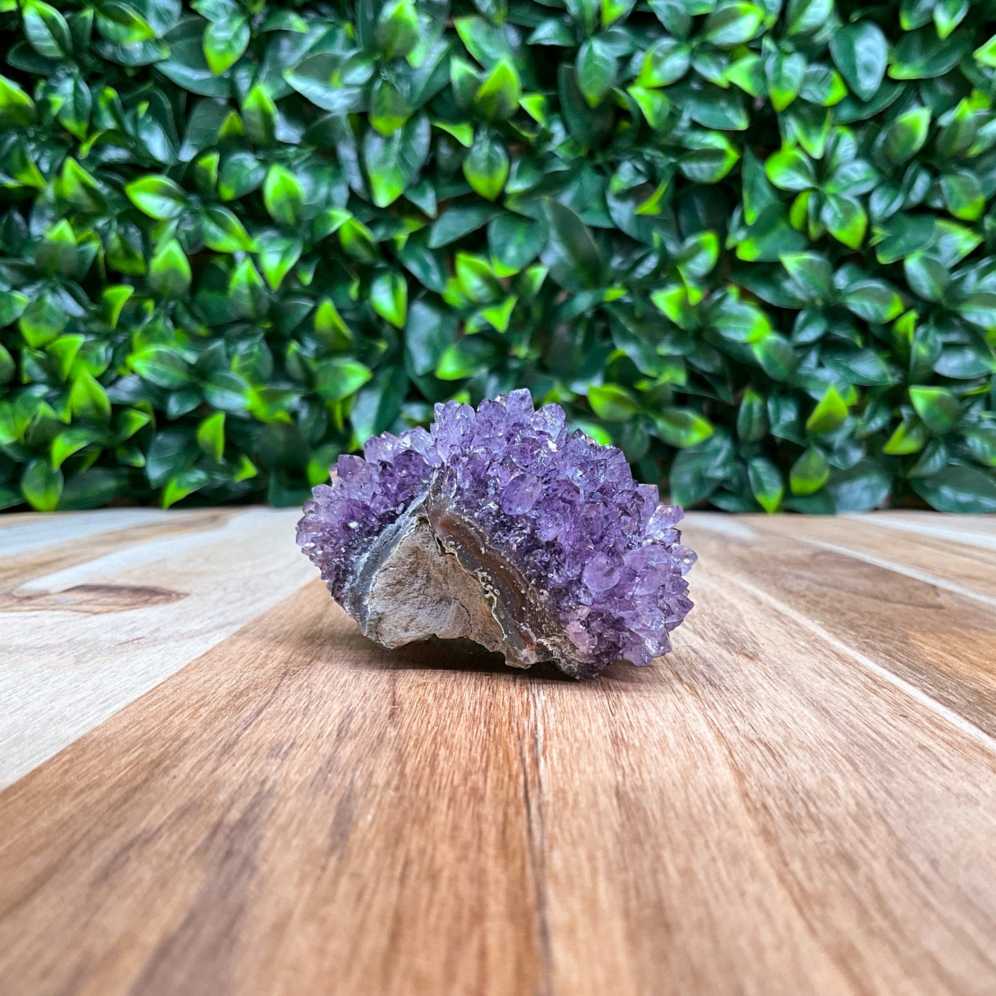 Purple Amethyst Freeform