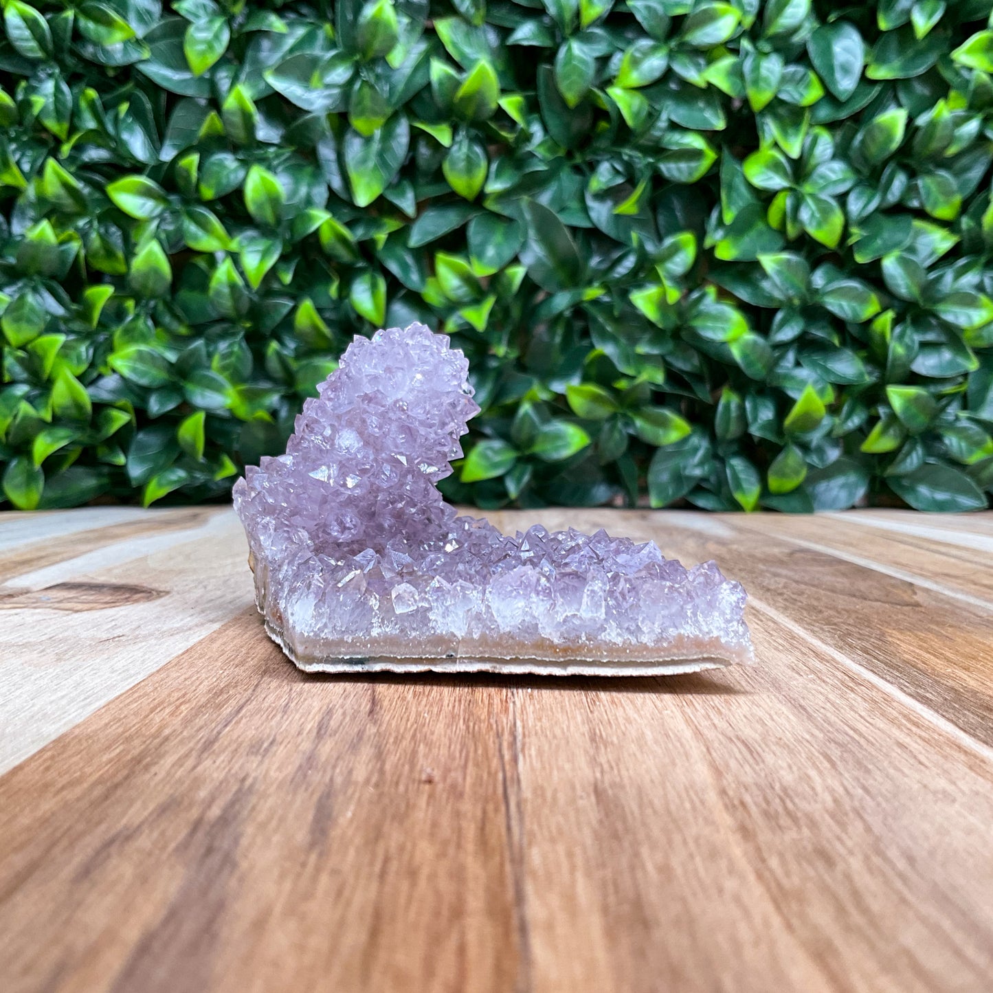 Purple Amethyst Stalactite Freeform