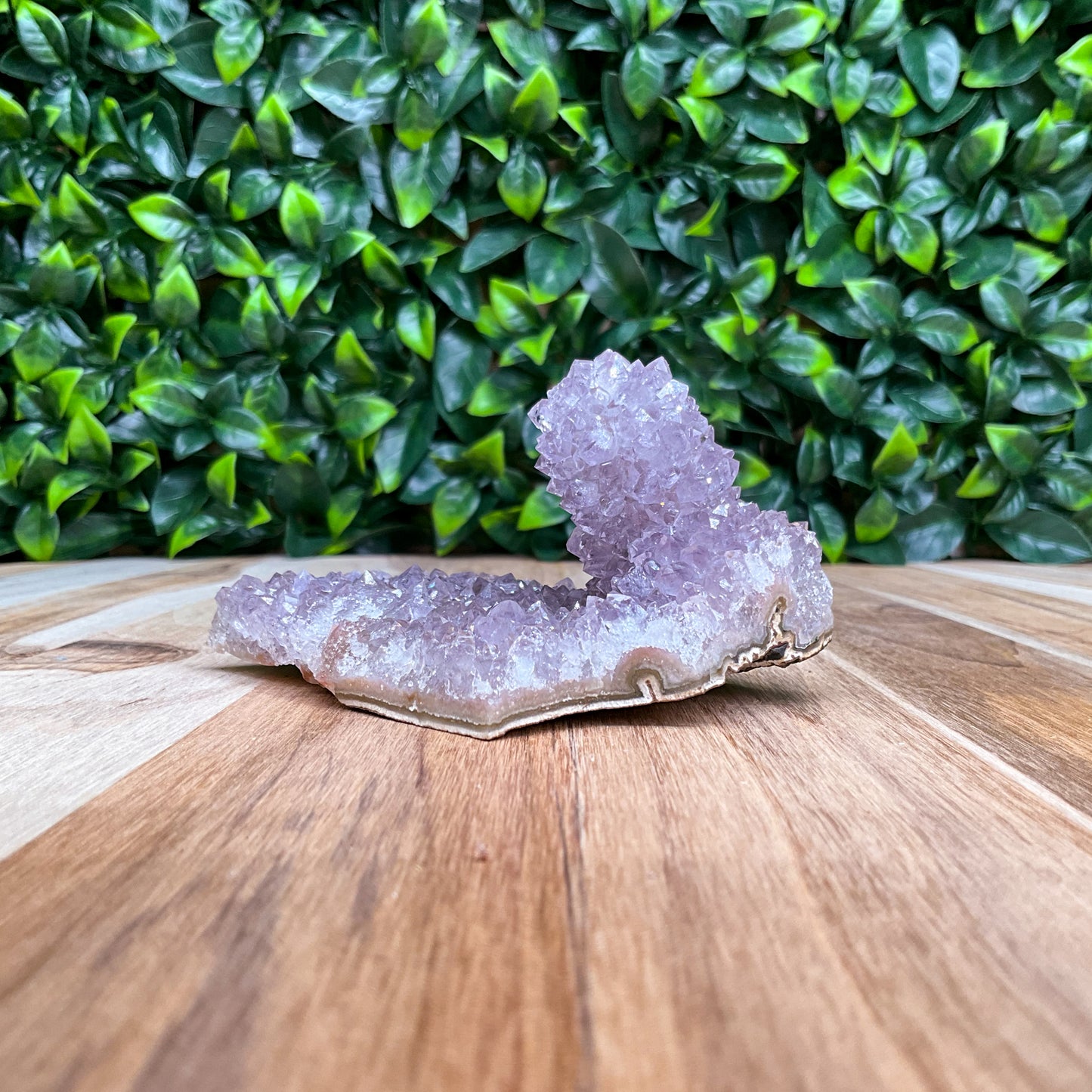 Purple Amethyst Stalactite Freeform