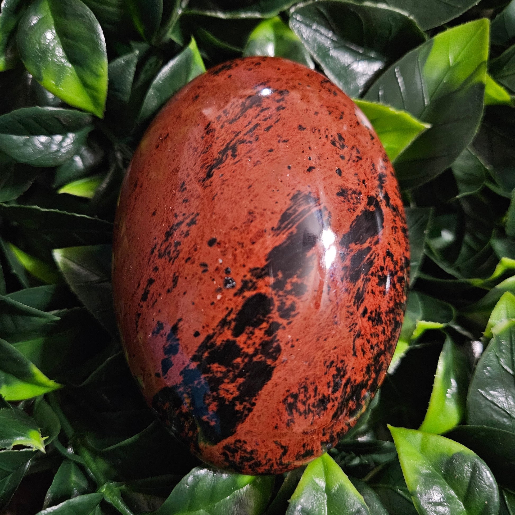 Mahogony Obsidian Palm