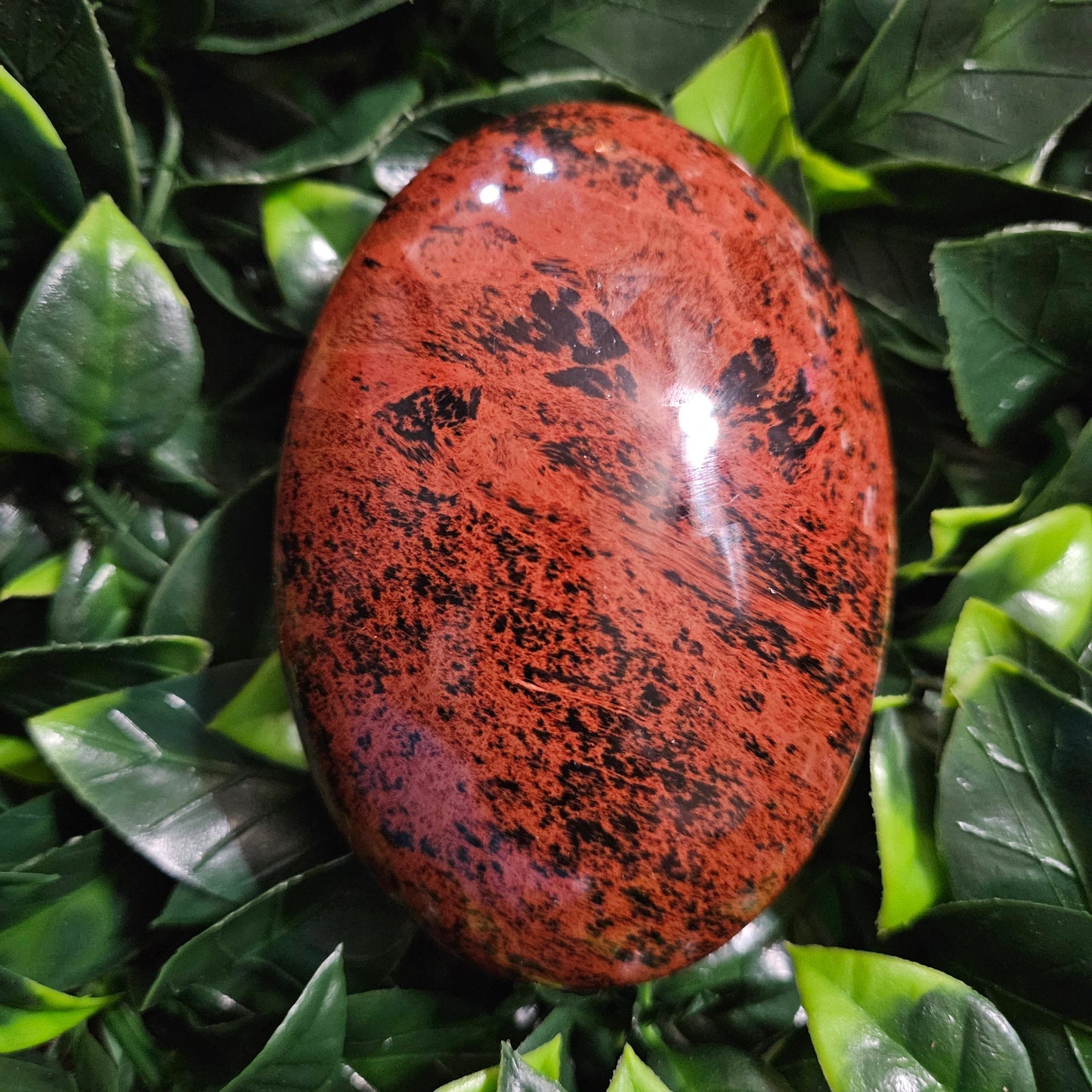 Mahogony Obsidian Palm