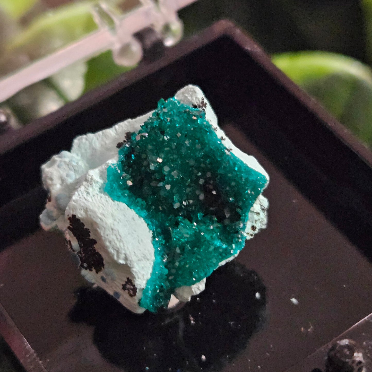 Dioptase Specimen