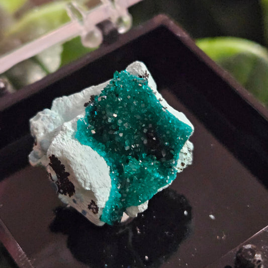 Dioptase Specimen