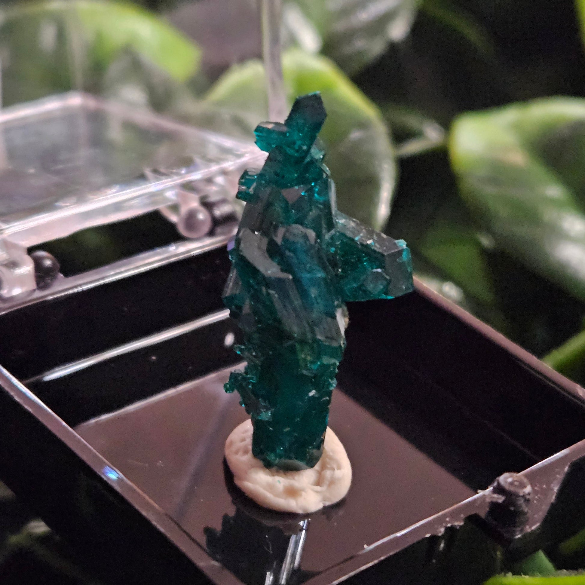 Dioptase Specimen