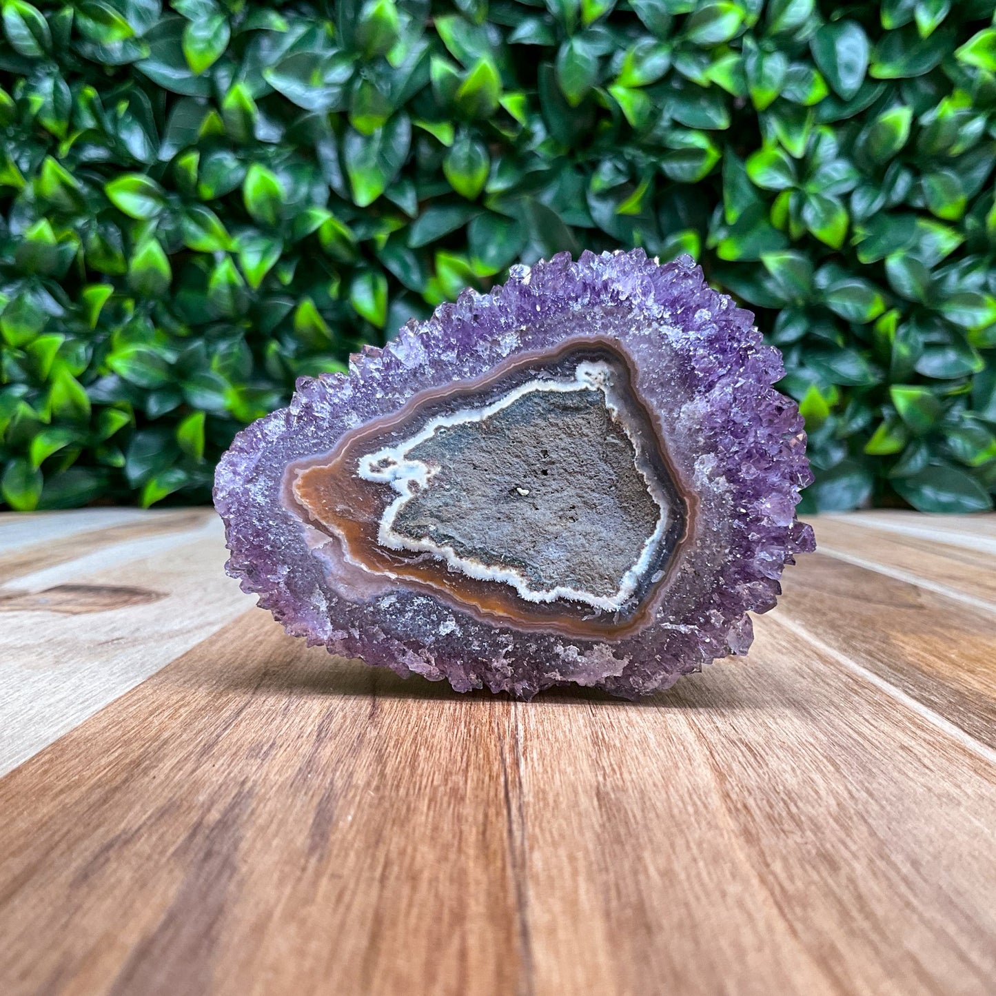 Purple Amethyst Freeform