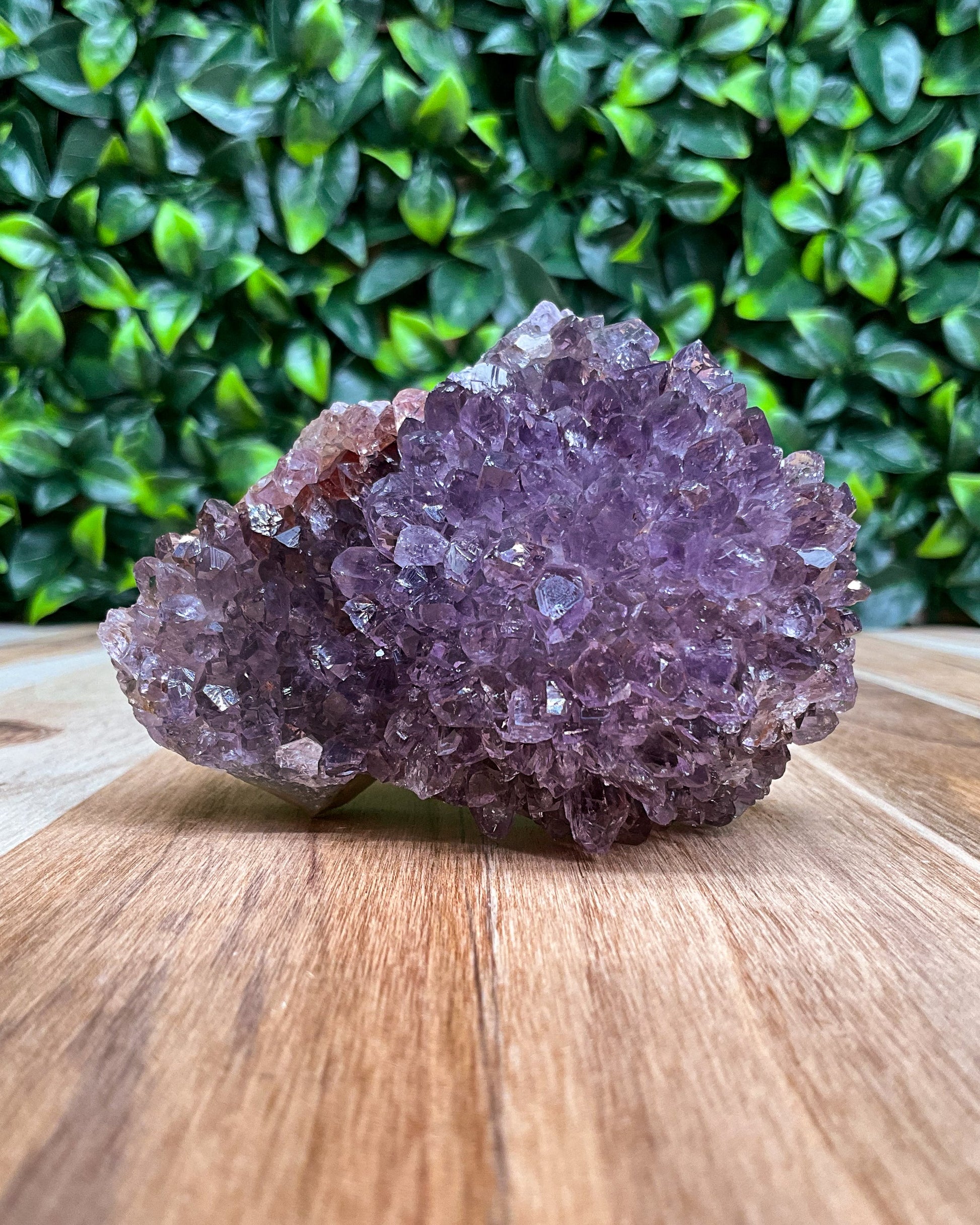 Purple Amethyst Freeform