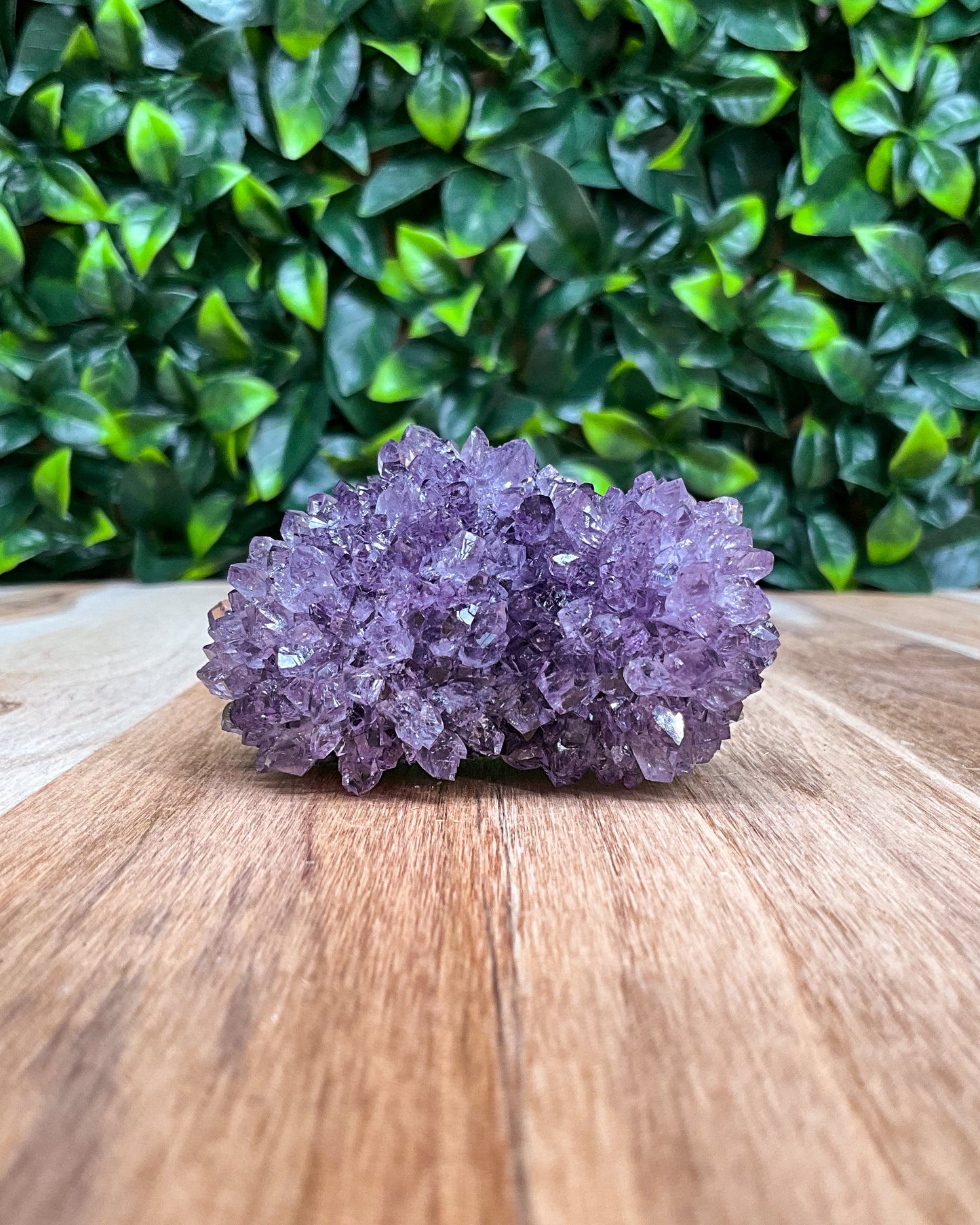 Purple Amethyst Freeform