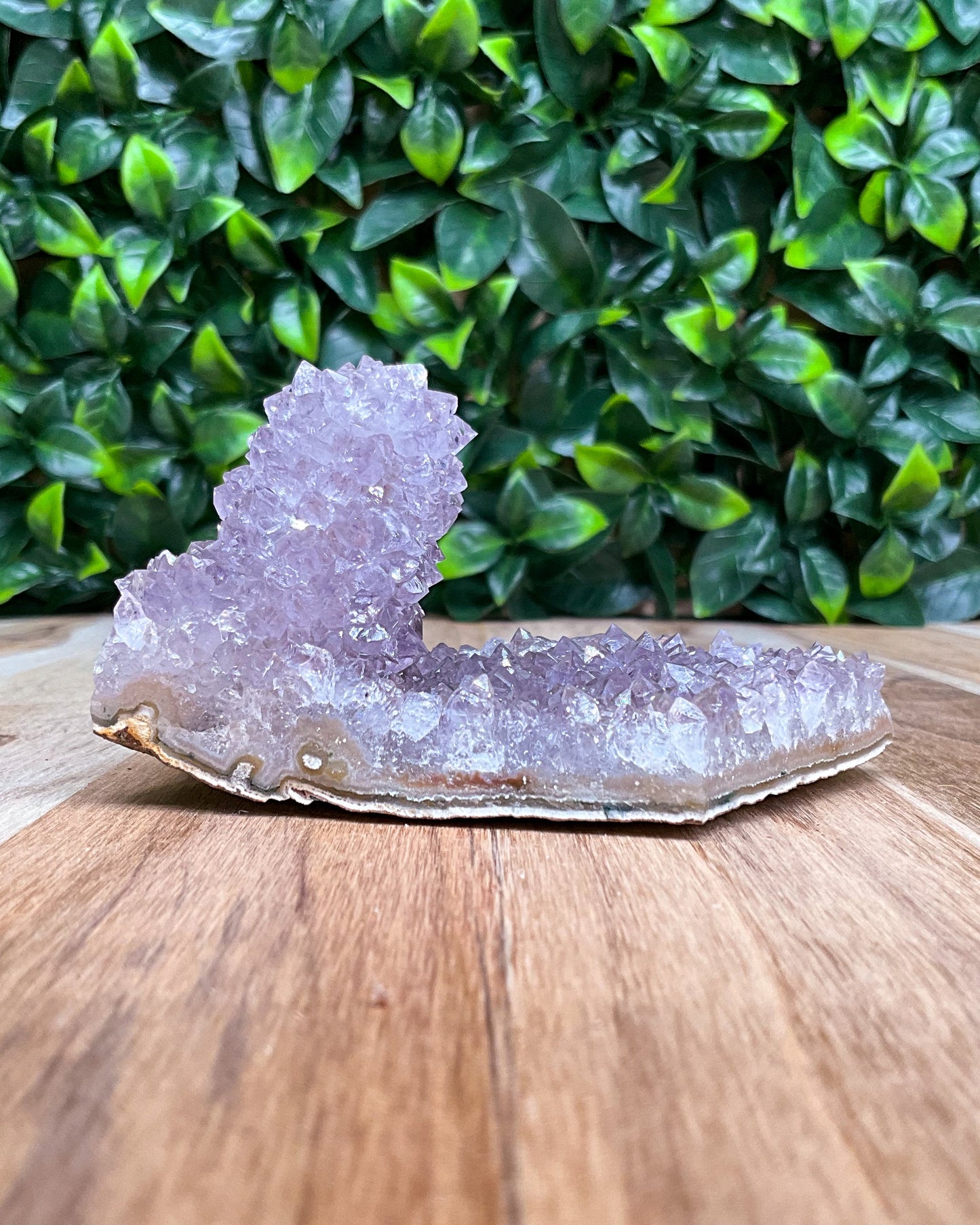 Purple Amethyst Stalactite Freeform